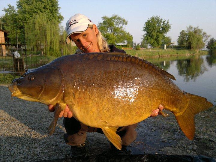 diverse 2 - 2087121840111335200968451n.jpg